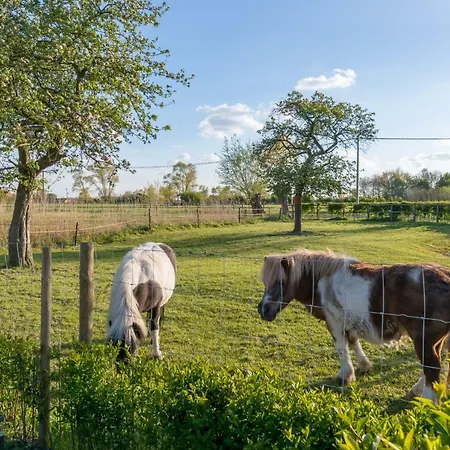 Holiday home Hoeve De Zuidhoek *